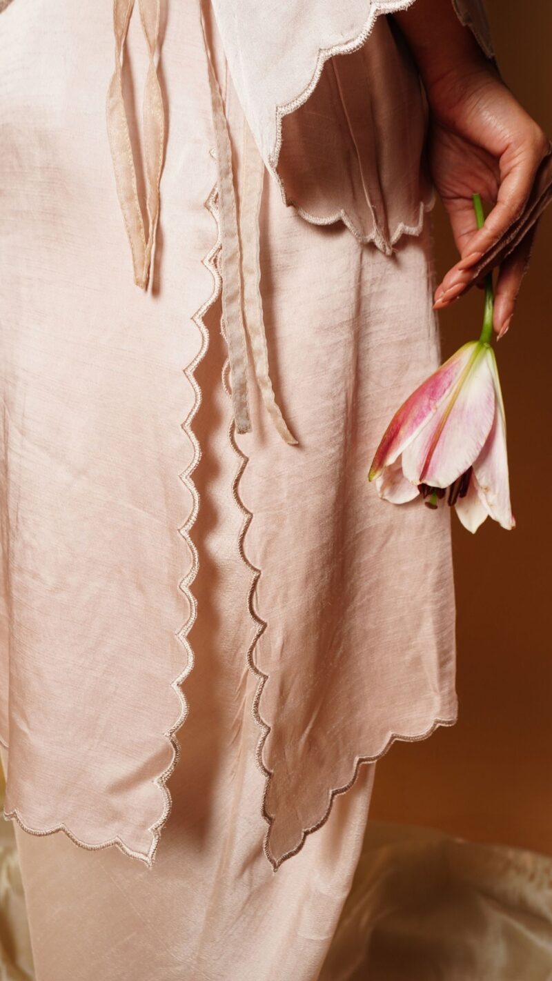Organza bib kurta set - Image 7