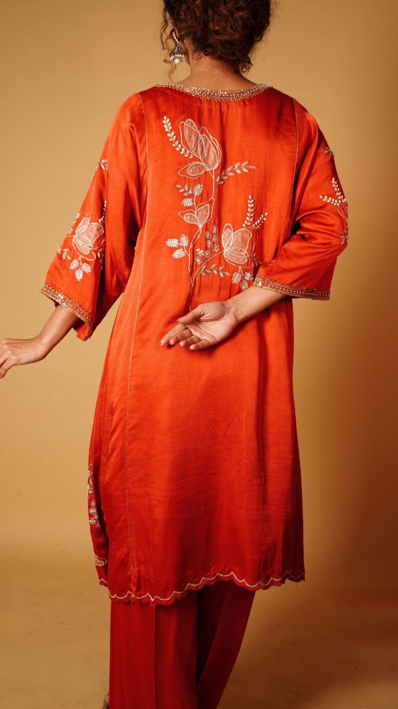 Dori appliqué kurta - Image 5